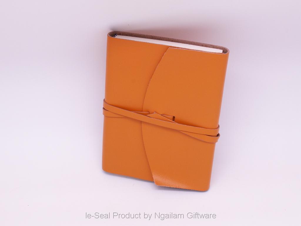 21-010-11-LT BRN.JPG